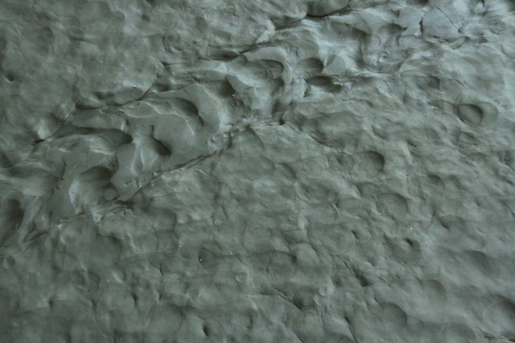 texture detail (2)