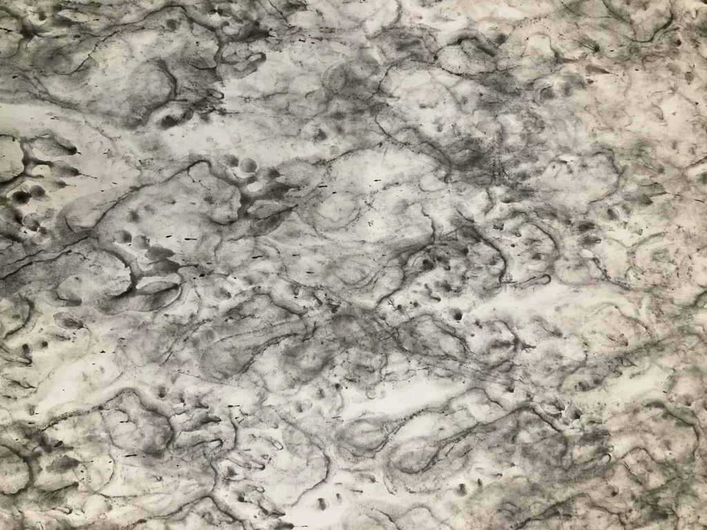 Ateria Schio 4