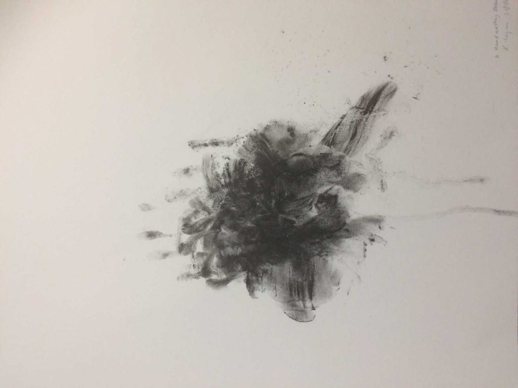 A Handwashing Exercise . A 20 Second Drawing 1